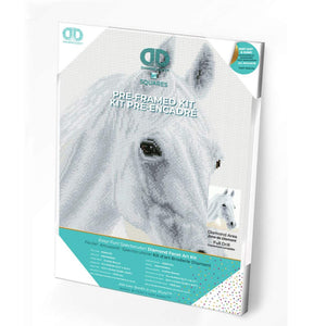 DIAMOND DOTZ® PRE-FRAMED Arabian Beauty 31x41cm