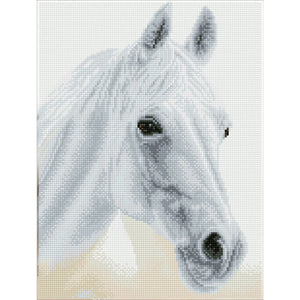 DIAMOND DOTZ® PRE-FRAMED Arabian Beauty 31x41cm