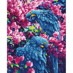 DIAMOND DOTZ® Blue Parrots 42x52cm