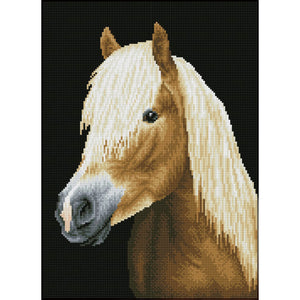 DIAMOND DOTZ® PRE-FRAMED Chester 34x47cm
