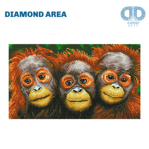 DIAMOND DOTZ® Oranging Around 47x27cm