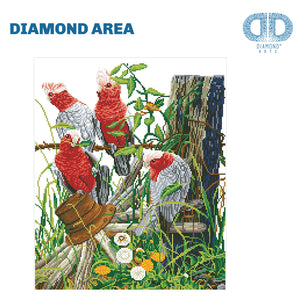 DIAMOND DOTZ® Galah Quartet 47x57cm