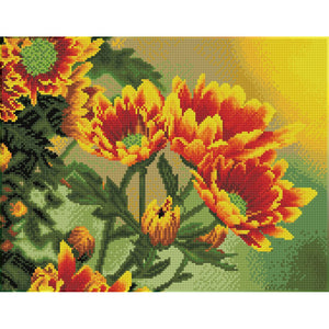 DIAMOND DOTZ® PRE-FRAMED Field Daisies 45x35cm