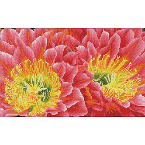 DIAMOND DOTZ® PRE-FRAMED Desert Blooms 52x32cm