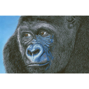 DIAMOND DOTZ® Kibali Western Lowland Gorilla 100x65cm