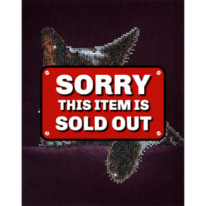 DIAMOND DOTZ® Midnight Cat 27.9x35.5cm