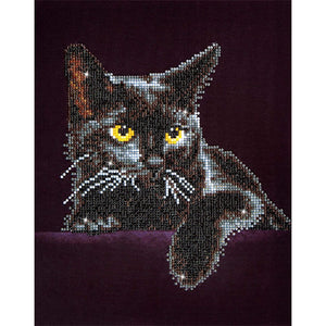 DIAMOND DOTZ® Midnight Cat 27.9x35.5cm
