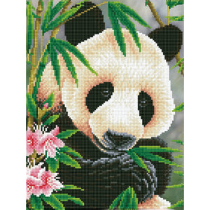 DIAMOND DOTZ® Panda Prince 30x40cm