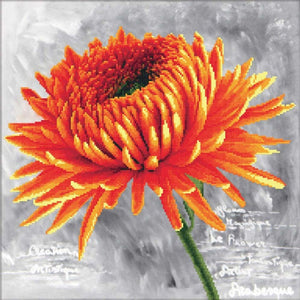 NEEDLE ART WORLD Printed Cross Stitch 'Orange Dahlia'