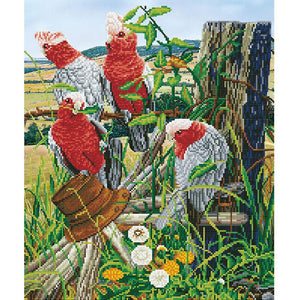DIAMOND DOTZ® Galah Quartet 47x57cm